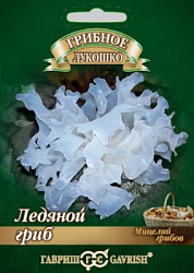 Ледяной гриб
