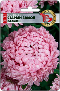 Астра Старый замок Салмон