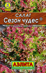 Салат Сезон чудес листовой_Лидер