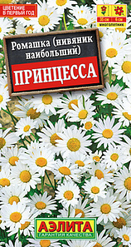 Ромашка садовая Принцесса_ЦП