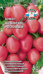 tomat_de_barao_rozovyy