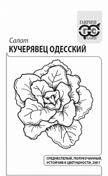 Салат Кучерявец Одесский