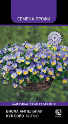 viola_ampelnaya_kul_veyv_morfo