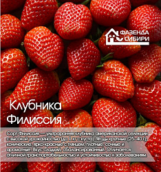 Филиссияcdr
