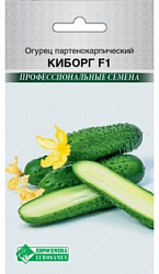 Киборг