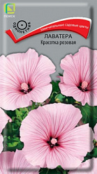 lavatera_krasotka_rozovaya