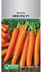 Морковь Небула