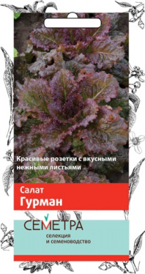 salat_gurman_sem