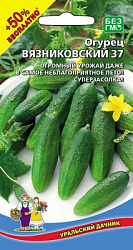 ogurec-vyaznikovskiy-37-2