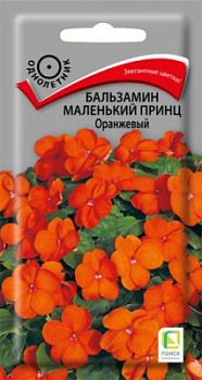 Balzamin-Malenkiy-prince-Orangeviy
