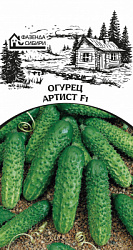 ogurec-artist-faz-68-04-ru