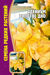 Адениум_Золотое_дно