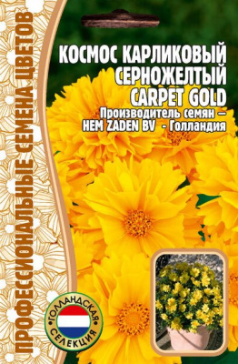 Космос карпет голд