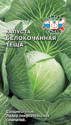 kapusta_tyeshcha