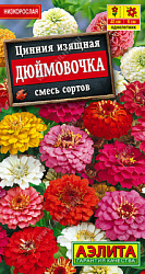 Цинния Дюймовочка