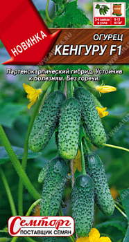 Огурец Кенгуру