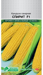 Кукуруза Спирит