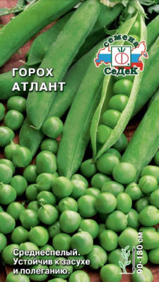 gorokh_atlant
