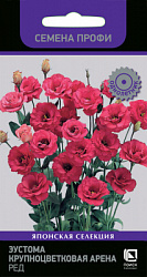 Eustoma-krupnocvetkovaya-Arena-Red