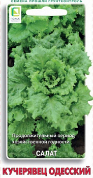 salat_kucheryavec_odessky