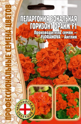Пеларгония оранж