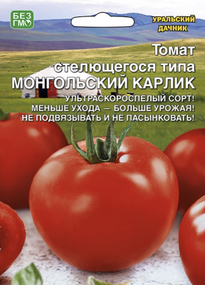 tomat-stelyuschegosya-tipa-mongolskiy-karlik