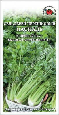 Паскаль
