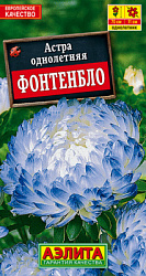 Астра Фонтенбло пионовидная_ЦП