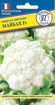 kapusta_maybah