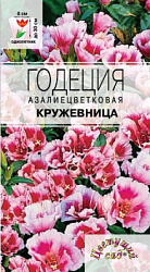 Годеция кружевница
