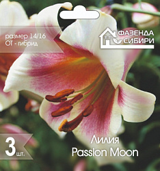 Лилия Passion Moon
