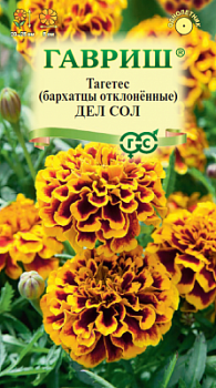 Бархатцы откл. Дел Сол