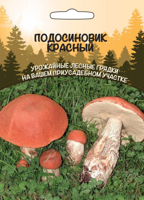 podosinovik-krasnyy