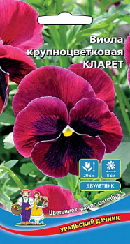 viola-krupnocvetkovaya-klaret