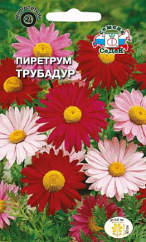 Пиретрум Трубадур
