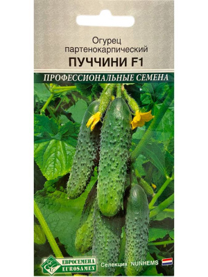 ЦБ-00000972_1