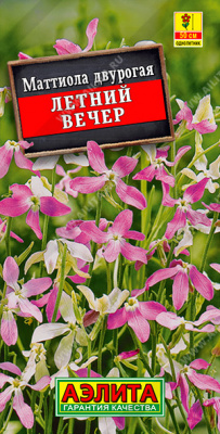 Маттиола летний вечер