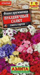 Флокс Праздничный салют, смесь сортов_ЦП