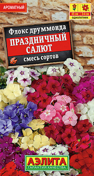 Флокс Праздничный салют, смесь сортов_ЦП