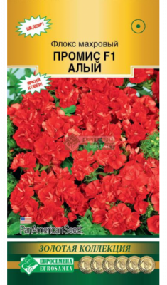Флокс Промис Алый