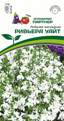 Лобелия ривьера Уайт