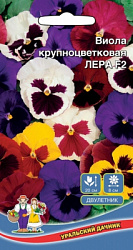 viola-krupnocvetkovaya-lera-f2
