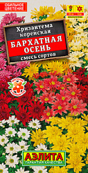Хризантема корейская Бархатная осень,смесь окрасок_ЦП