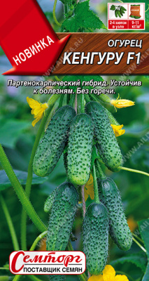 Огурец Кенгуру