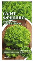 салат фриллис