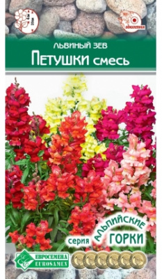 Львиный зев Петушки