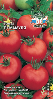 tomat_mamulya_f1
