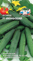 ogurets_iyunskiy_f1