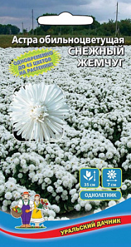 astra-obilnocvetuschaya-snezhnyy-zhemchug
