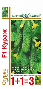 Кураж 1